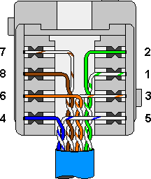 câble d'un keystone RJ45 catégorie 6