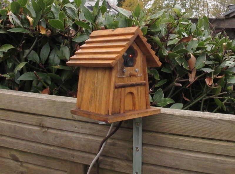 Gros plan sur la maison d'oiseau avec le Raspberry Pi