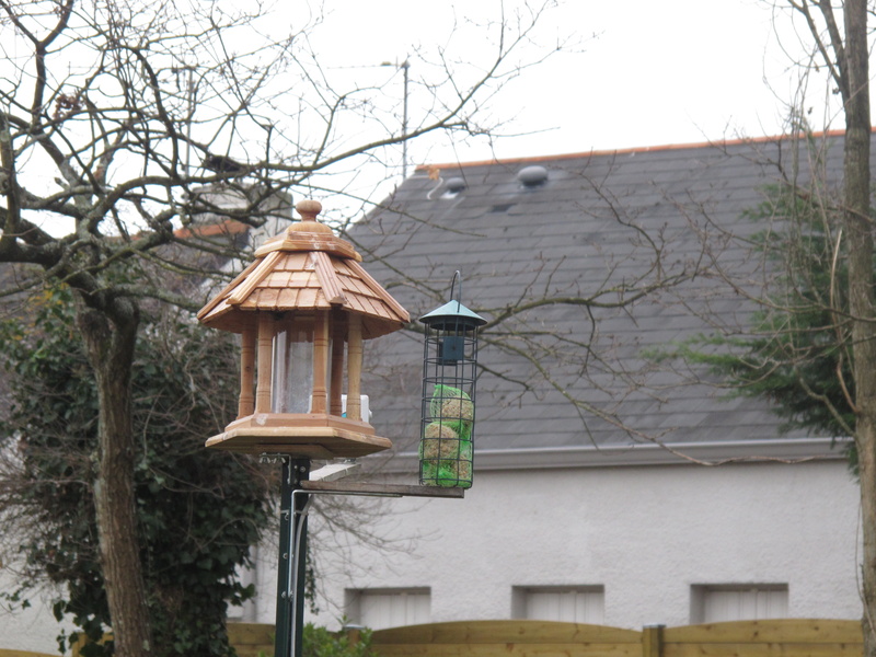 Nouvelle mangeoire Nouvelle mangeoire